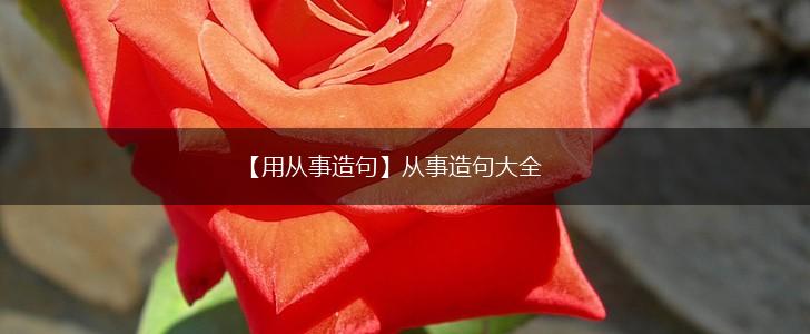 【用从事造句】从事造句大全,第1张