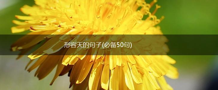 形容天的句子(必备50句),第1张