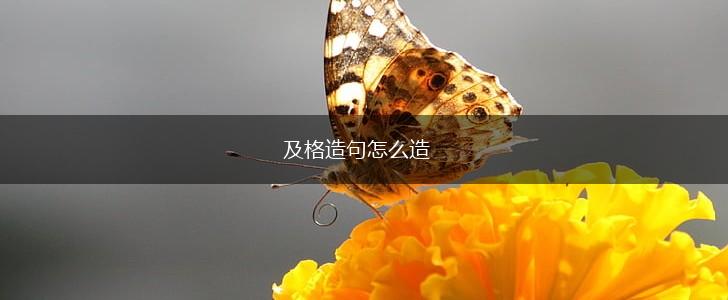 及格造句怎么造,第1张