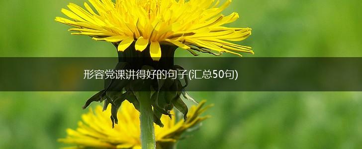 形容党课讲得好的句子(汇总50句),第1张