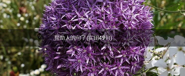 帮助人的句子(实用49句),第1张