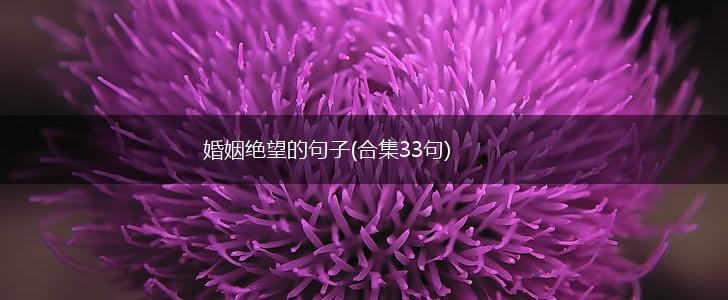 婚姻绝望的句子(合集33句),第1张
