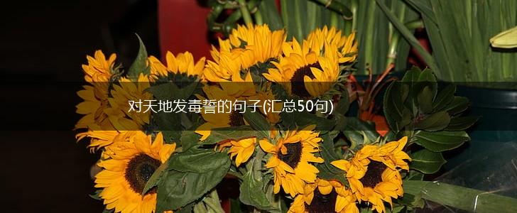 对天地发毒誓的句子(汇总50句),第1张