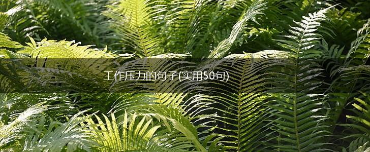 工作压力的句子(实用50句),第1张