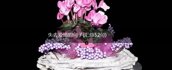 失去爱情的句子(汇总52句),第1张