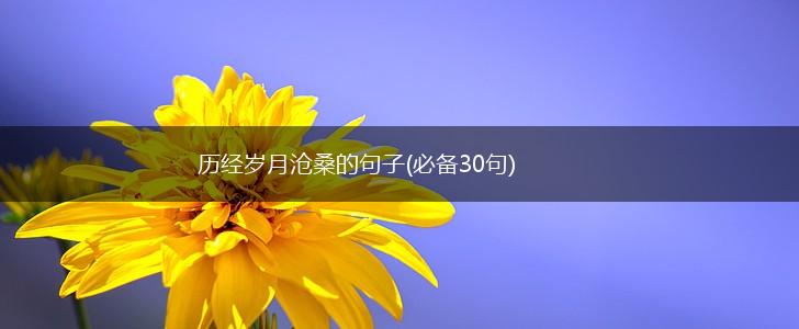 历经岁月沧桑的句子(必备30句),第1张