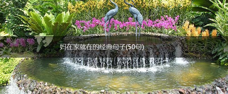 妈在家就在的经典句子(50句),第1张