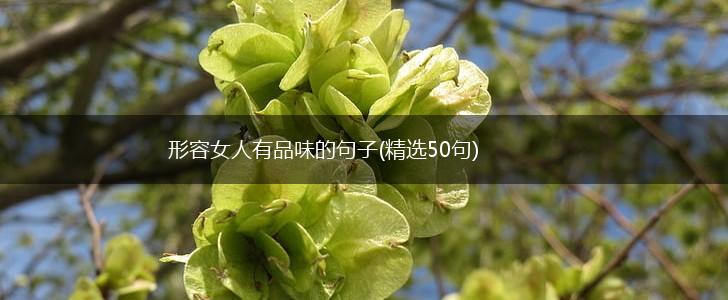 形容女人有品味的句子(精选50句),第1张