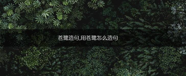 苍鹭造句,用苍鹭怎么造句,第1张