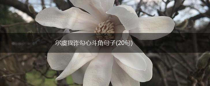 尔虞我诈勾心斗角句子(20句),第1张