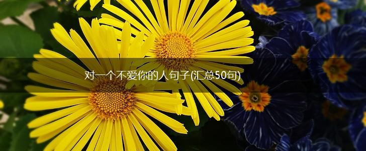 对一个不爱你的人句子(汇总50句),第1张