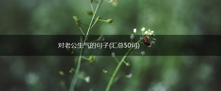 对老公生气的句子(汇总50句),第1张