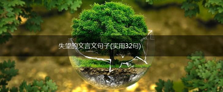 失望的文言文句子(实用32句),第1张