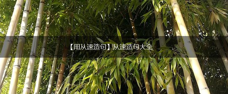 【用从速造句】从速造句大全,第1张