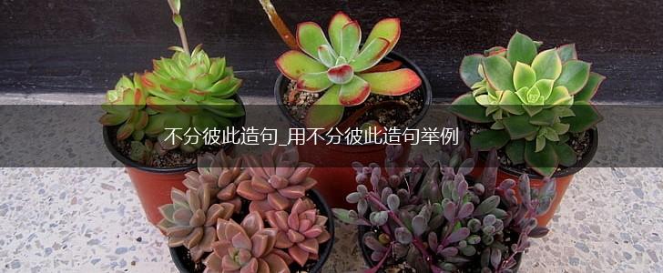 不分彼此造句_用不分彼此造句举例,第1张