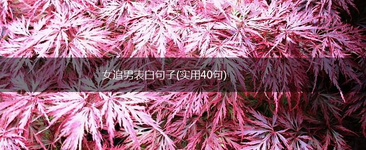 女追男表白句子(实用40句),第1张