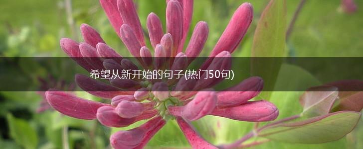 希望从新开始的句子(热门50句),第1张