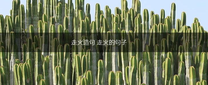走火造句 走火的句子,第1张