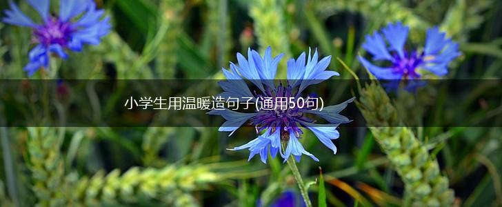 小学生用温暖造句子(通用50句),第1张
