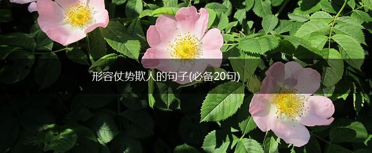 形容仗势欺人的句子(必备20句),第1张
