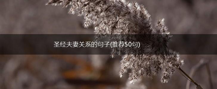 圣经夫妻关系的句子(推荐50句),第1张