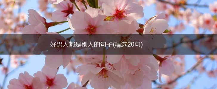 好男人都是别人的句子(精选20句),第1张