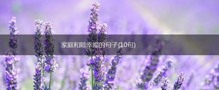 家庭和睦幸福的句子(10句),第1张