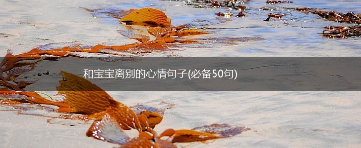 和宝宝离别的心情句子(必备50句),第1张
