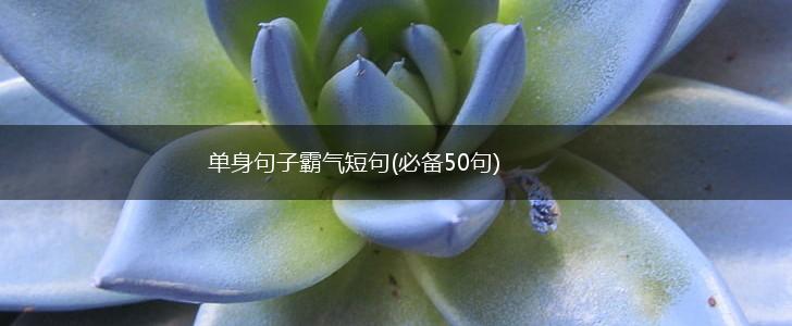 单身句子霸气短句(必备50句),第1张