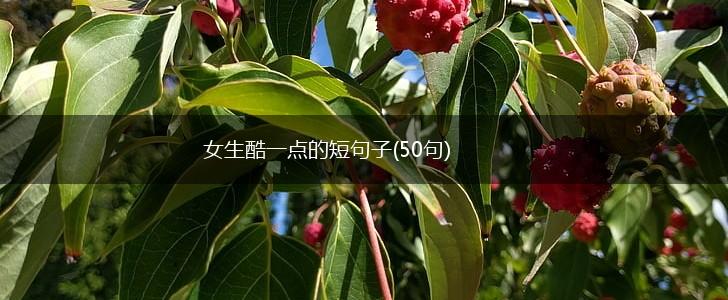 女生酷一点的短句子(50句),第1张
