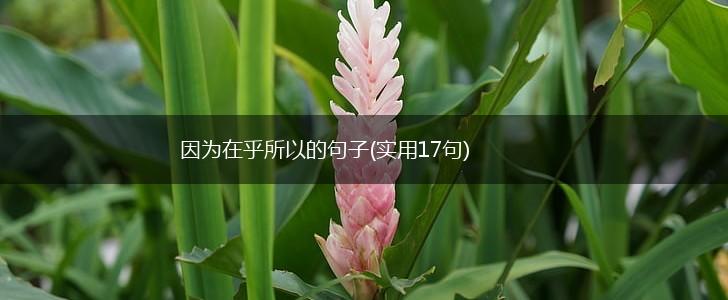 因为在乎所以的句子(实用17句),第1张