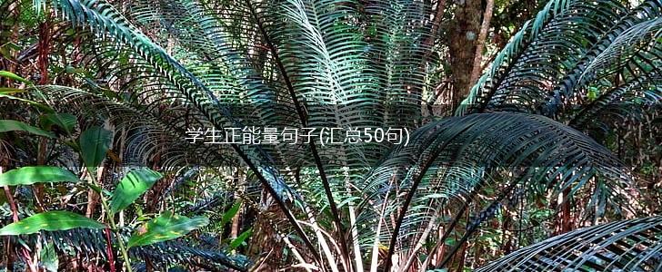 学生正能量句子(汇总50句),第1张