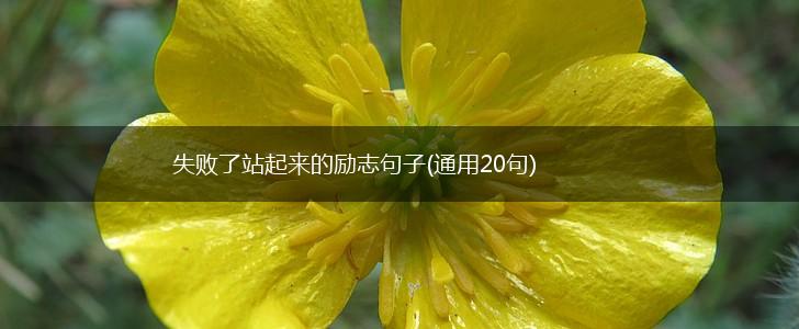 失败了站起来的励志句子(通用20句),第1张
