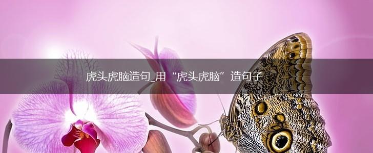 虎头虎脑造句_用“虎头虎脑”造句子,第1张