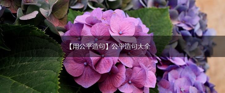 【用公平造句】公平造句大全,第1张