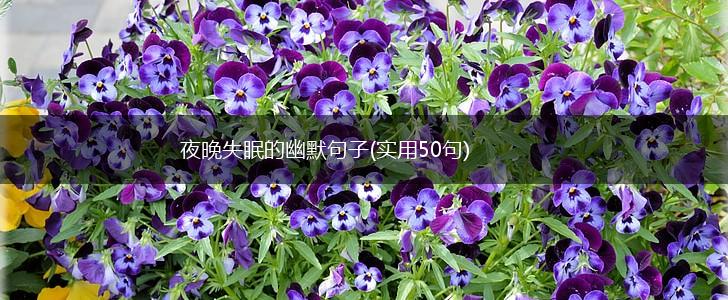 夜晚失眠的幽默句子(实用50句),第1张