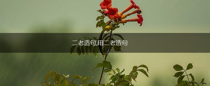 二老造句,用二老造句,第1张