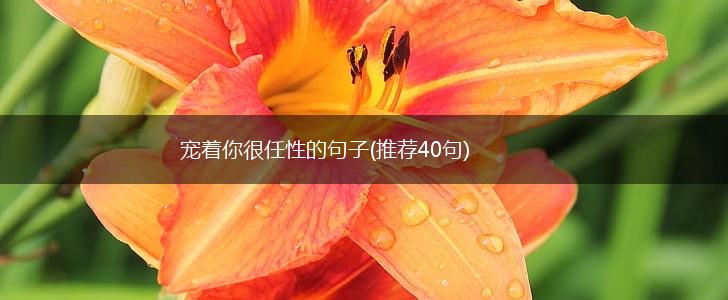 宠着你很任性的句子(推荐40句),第1张