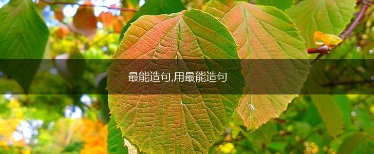 最能造句,用最能造句,第1张