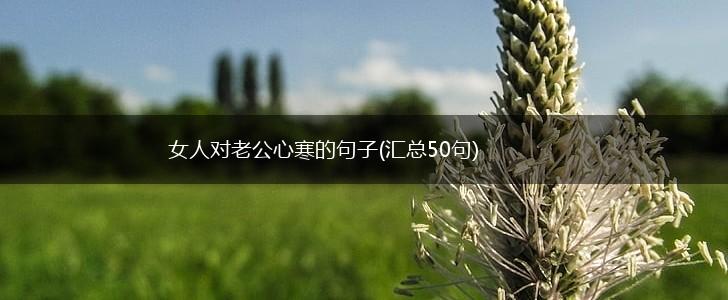 女人对老公心寒的句子(汇总50句),第1张