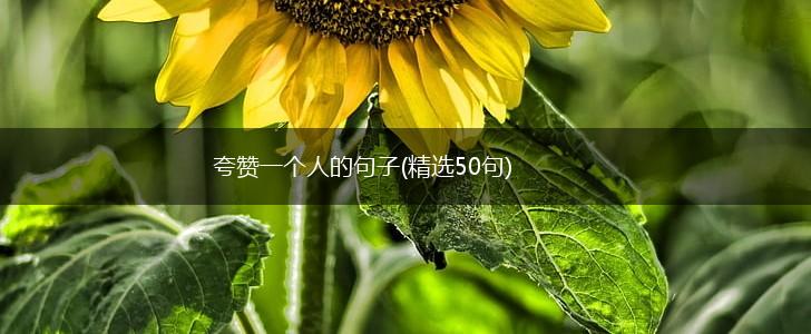 夸赞一个人的句子(精选50句),第1张