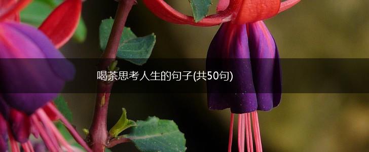 喝茶思考人生的句子(共50句),第1张
