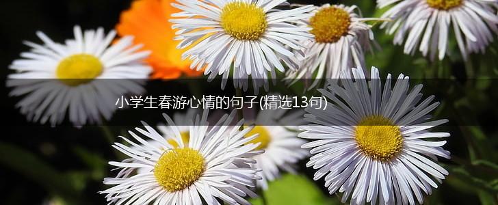 小学生春游心情的句子(精选13句),第1张