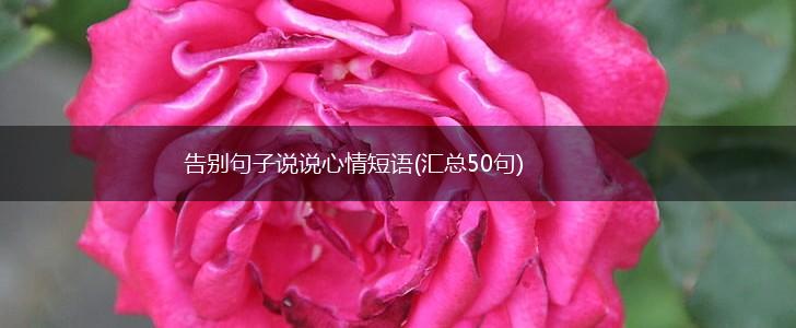 告别句子说说心情短语(汇总50句),第1张