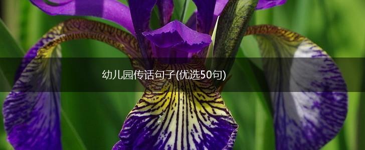 幼儿园传话句子(优选50句),第1张