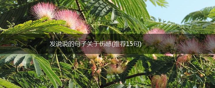 发说说的句子关于伤感(推荐15句),第1张
