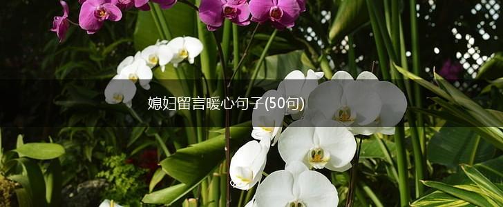 媳妇留言暖心句子(50句),第1张