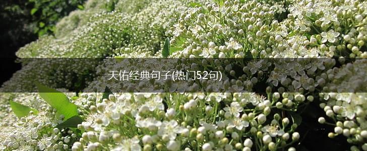 天佑经典句子(热门52句),第1张