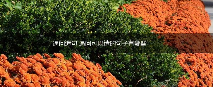 逼问造句 逼问可以造的句子有哪些,第1张