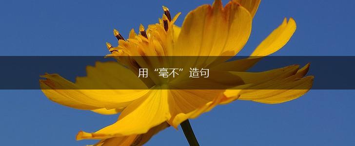 用“毫不”造句,第1张